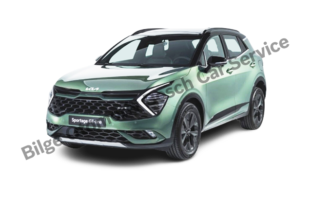 Avcılar Kia Servisi